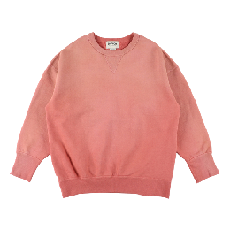 BOW WOW FADED DOUBLE V SWEATSHIRT